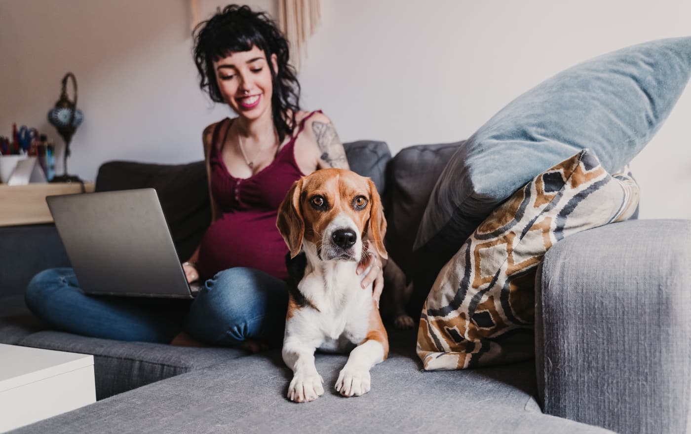 Pregnant woman relaxing at home with her dog and laptop — perinatal and reproductive mental health support at Minnesota Mental Health Clinics