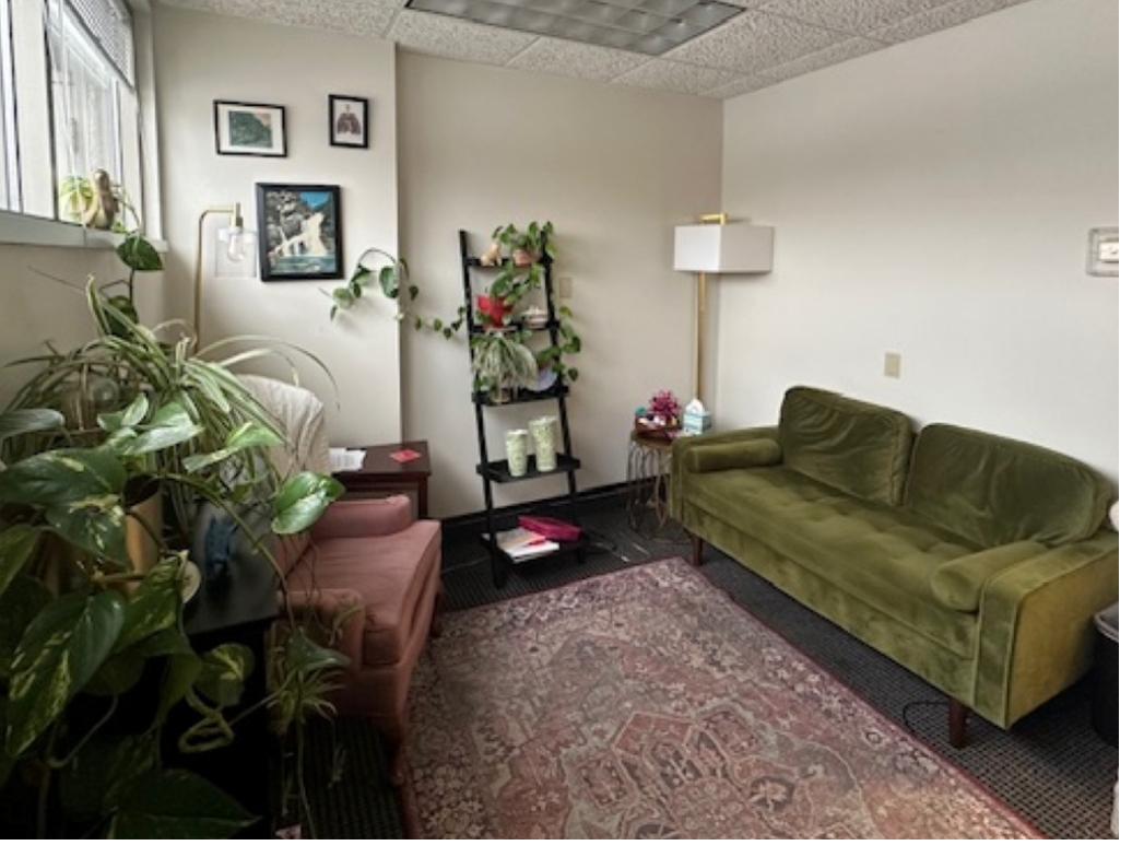 Private therapy office at Minnesota Mental Health Clinics Minneapolis
